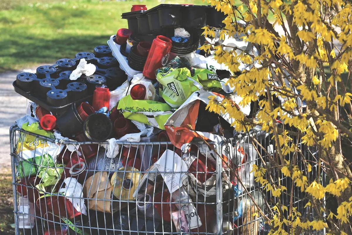 Norfolk's New Bin Collection Days Explained: What Each Coloured Bin Takes